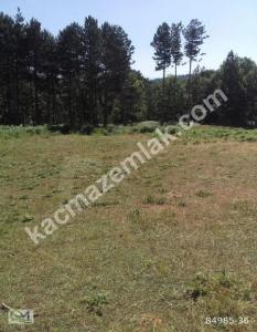 Osmangazi Tuzaklı Mh Satılık Orman İçinde Tarla 5