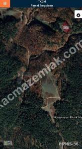 Osmangazi Tuzaklı Mh Satılık Orman İçinde Tarla 3