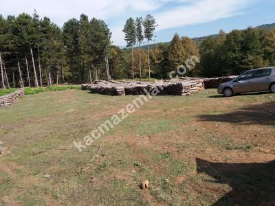 Osmangazi Tuzaklı Mh Satılık Orman İçinde Tarla 2