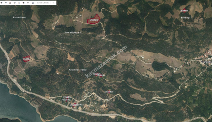 Bursa Osmangazi Tuzaklı Köyün De Satılık Tarla 11046M2 2