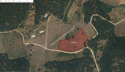 Bursa Osmangazi Tuzaklı Köyün De Satılık Tarla 11046M2 6