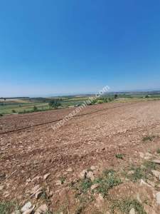 Yenişehir Akbıyık Köyü Asfaltın Dibinde Satılık Tarla 15