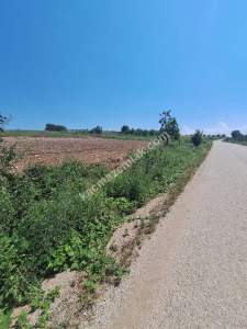 Yenişehir Akbıyık Köyü Asfaltın Dibinde Satılık Tarla 3