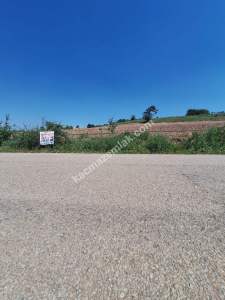 Yenişehir Akbıyık Köyü Asfaltın Dibinde Satılık Tarla 2