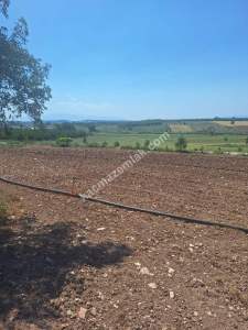 Yenişehir Akbıyık Köyü Asfaltın Dibinde Satılık Tarla 6