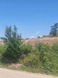 Yenişehir Akbıyık Köyü Asfaltın Dibinde Satılık Tarla 11