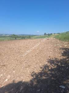 Yenişehir Akbıyık Köyü Asfaltın Dibinde Satılık Tarla 13