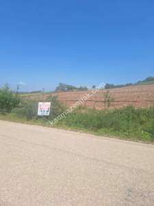 Yenişehir Akbıyık Köyü Asfaltın Dibinde Satılık Tarla 14