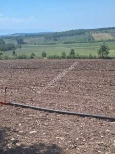 Yenişehir Akbıyık Köyü Asfaltın Dibinde Satılık Tarla 5