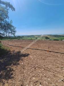 Yenişehir Akbıyık Köyü Asfaltın Dibinde Satılık Tarla 8