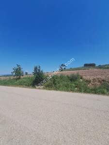 Yenişehir Akbıyık Köyü Asfaltın Dibinde Satılık Tarla 4