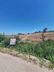 Yenişehir Akbıyık Köyü Asfaltın Dibinde Satılık Tarla 10