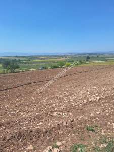 Yenişehir Akbıyık Köyü Asfaltın Dibinde Satılık Tarla 7