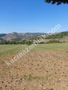 İznik Yenişehir De Satılık Arsa 5