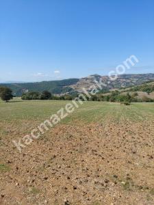 İznik Yenişehir De Satılık Arsa 4