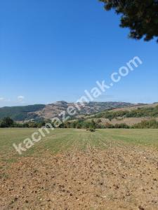 İznik Yenişehir De Satılık Arsa 13