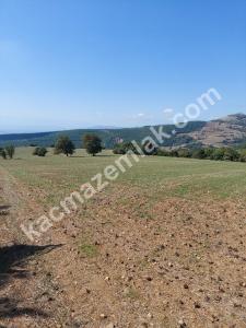 İznik Yenişehir De Satılık Arsa 3