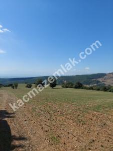 İznik Yenişehir De Satılık Arsa 16