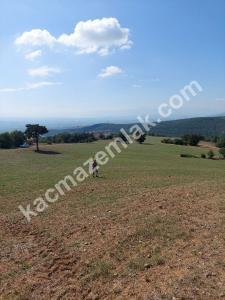 İznik Yenişehir De Satılık Arsa 21