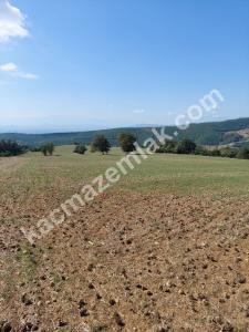 İznik Yenişehir De Satılık Arsa 19