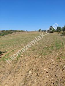 İznik Yenişehir De Satılık Arsa 17