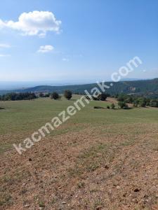 İznik Yenişehir De Satılık Arsa 23