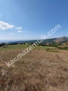 İznik Yenişehir De Satılık Arsa 28