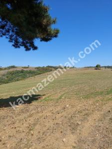İznik Yenişehir De Satılık Arsa 6