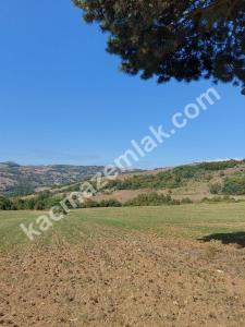 İznik Yenişehir De Satılık Arsa 12