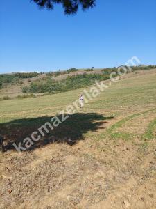 İznik Yenişehir De Satılık Arsa 18