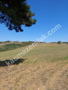 İznik Yenişehir De Satılık Arsa 9