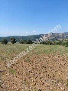 İznik Yenişehir De Satılık Arsa 2