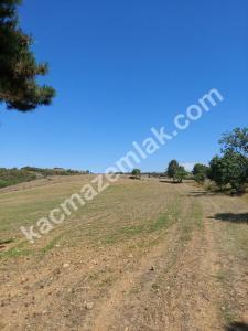 İznik Yenişehir De Satılık Arsa 8