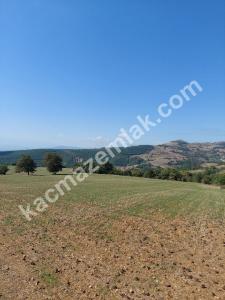 İznik Yenişehir De Satılık Arsa 14