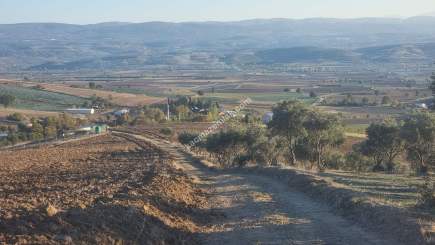 Bursa Yenişehir Alaylı Köyü'nde 7500 M² Tarla 5