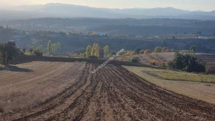 Bursa Yenişehir Alaylı Köyü'nde 7500 M² Tarla 3