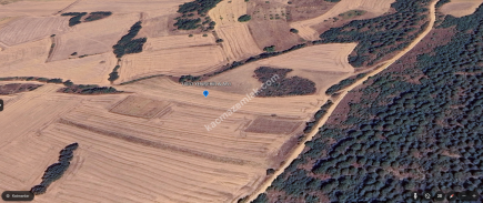 Bursa Yenişehir Alaylı Köyü'nde 7500 M² Tarla 13