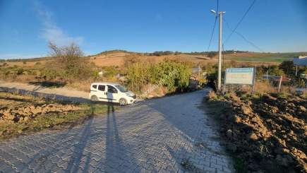 Bursa Yenişehir Alaylı Köyü'nde 7500 M² Tarla 8