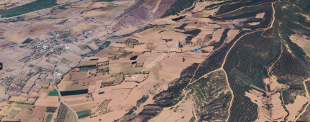 Bursa Yenişehir Alaylı Köyü'nde 7500 M² Tarla 12