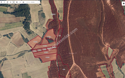 Bursa Yenişehir Alaylı Köyü'nde 7500 M² Tarla 10