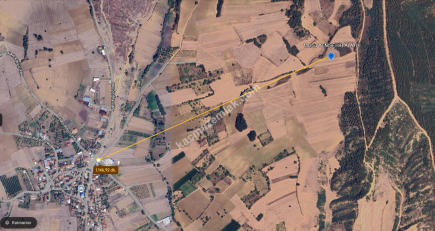 Bursa Yenişehir Alaylı Köyü'nde 7500 M² Tarla 11