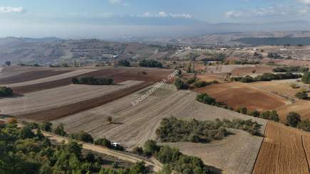 Bursa Yenişehir Alaylı Köyü'nde 7500 M² Tarla 7
