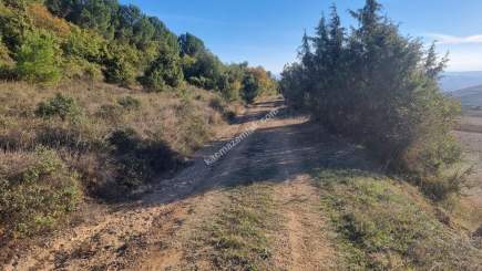 Bursa Yenişehir Alaylı Köyü'nde 7500 M² Tarla 2