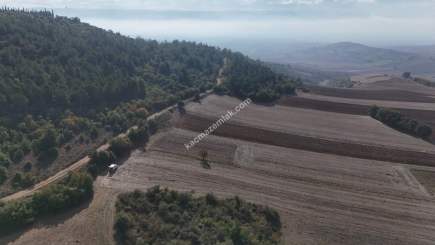 Bursa Yenişehir Alaylı Köyü'nde 7500 M² Tarla 6
