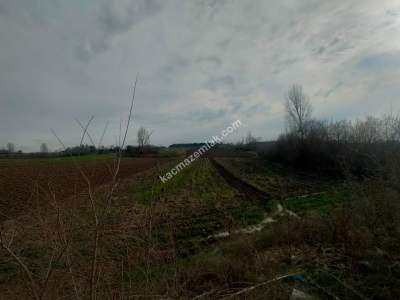 Bursa Yenişehir Ayaz Köy Mah'de Satılık 16.893 M² Tarl 2