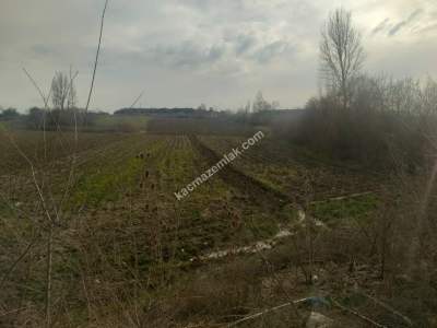 Bursa Yenişehir Ayaz Köy Mah'de Satılık 16.893 M² Tarl 1