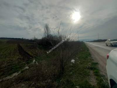 Bursa Yenişehir Ayaz Köy Mah'de Satılık 16.893 M² Tarl 4