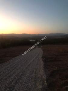 Satılık Bursa Yenişehir Günece 1000 M2 Tarla 6