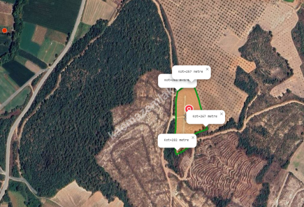 Satılık Bursa Yenişehir Günece 1000 M2 Tarla 5