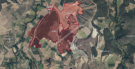 Satılık Bursa Yenişehir Günece 1000 M2 Tarla 2